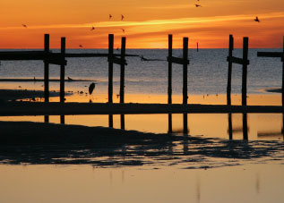 Psychotherapy Charleston SC